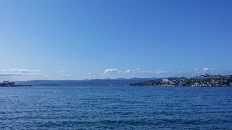 Wellington-11-1300x731 (1)