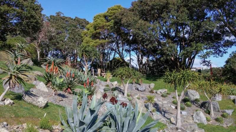Wellington-7-1300x731