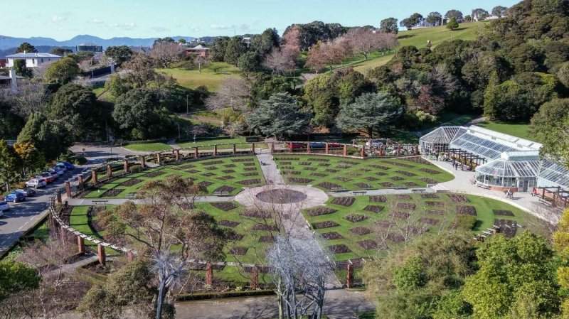 Wellington-8-1300x731 (1)