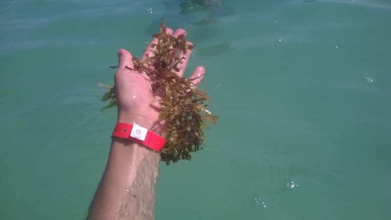 WP_20150801_090