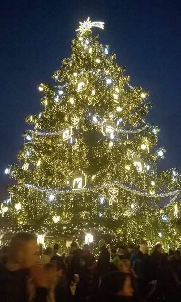 WP_20151205_15_36_17_Selfie