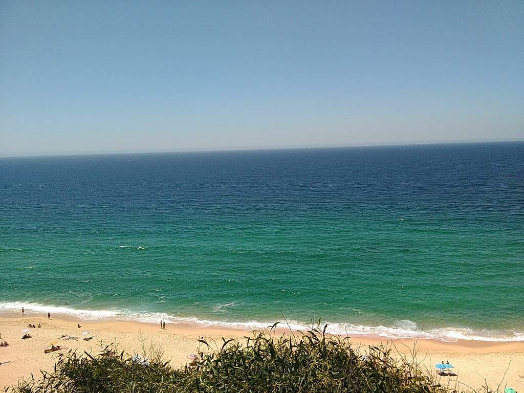 WP_20160731_013