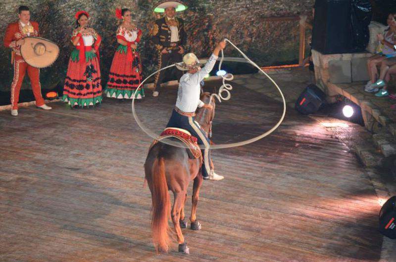 X-Caret 15.jpg