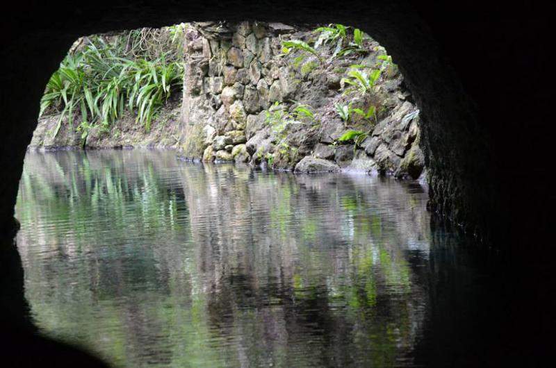 X-Caret Rio Paraiso 2.jpg