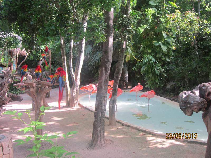 Xcaret