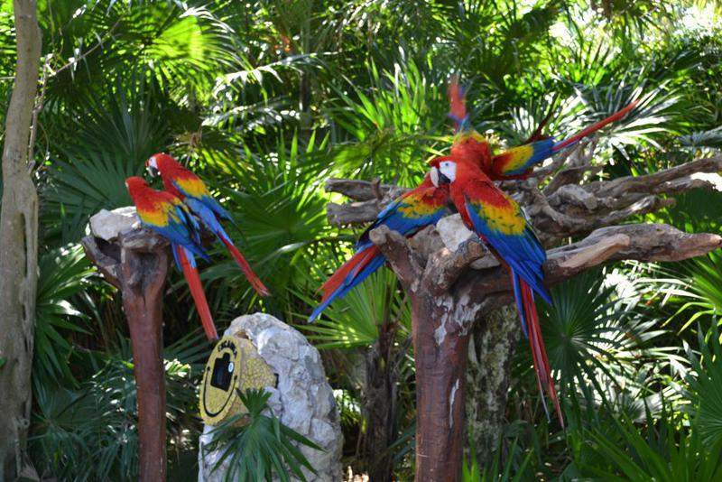 Xcaret