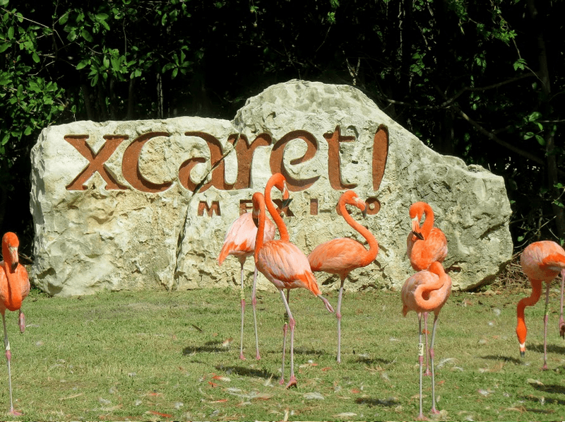 Xcaret2