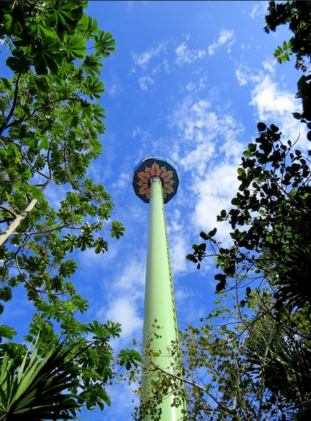 Xcaret6