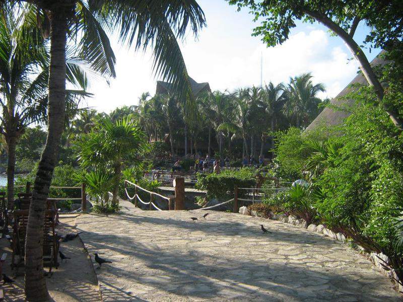 Xel-há