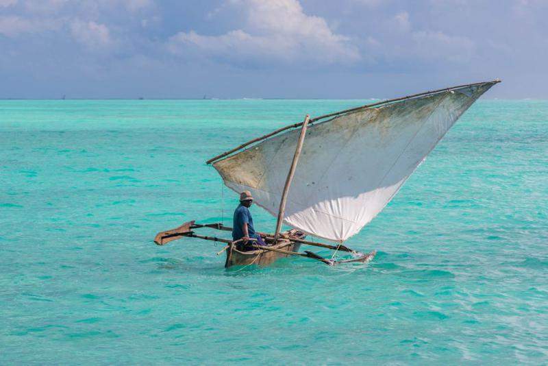 zanzibar 145